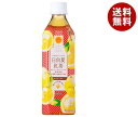 サンA 日向夏紅茶 HINATA TEA(ひなたティー) 500mlペットボトル×24本入×(2ケース)| 送料無料 紅茶飲料 PET