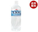 サンA 霧島山麓の天然水 590mlペットボトル×24本入| 送料無料 天然水 ミネラルウォーター 水