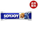 ː SOYJOY(\CWC) u[x[ 30g~48{b  ʐHi oXh{Hi 哤