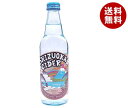 木村飲料 静岡サイダー ビーチラベル 340ml瓶×20本入×(2ケース)| 送料無料 炭酸飲料 サイダー 瓶
