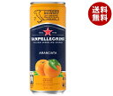 日仏貿易 サンペレグリノ アランチャータ (オレンジ) 330ml缶×24本入｜ 送料無料 炭酸飲料 果実飲料 フルーツ 缶