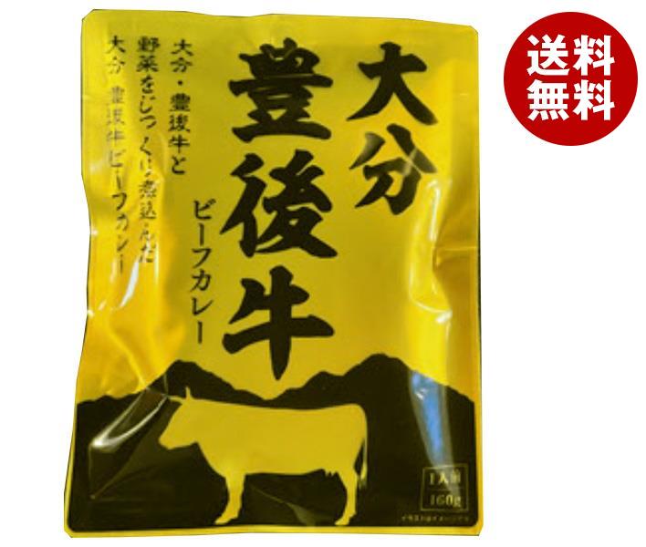 響 大分豊後牛ビーフカレー 160g×30袋入｜ 送料無料 一般食品 レトルトカレーのサムネイル