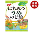 ノーベル製菓 はちみつうめのど飴 110g×6袋入×(2ケース)| 送料無料 飴 キャンディー 蜂蜜 梅 のど飴