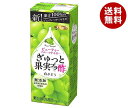 エルビー ぎゅっと果実プラ酢 白ぶどう 200ml紙パック×24本入×(2ケース)｜ 送料無料 果実飲料 フルーツビネガー 無添加 果汁100％