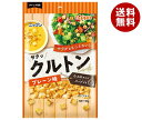 ニップン クルトン プレーン味 30g×20(10×2)袋入×(2ケース)| 送料無料 一般食品 サラダ トッピング