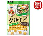 ニップン クルトン シーザー味 30g×20(10×2)袋入｜ 送料無料 一般食品 サラダ トッピング