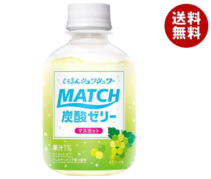 大塚食品 MATCH（マッチ）マッチゼリーマスカット 260gペットボトル×24本入｜ 送料無料 マッチ 炭酸 微炭酸 MATCH ゼリー ゼリー飲料のサムネイル