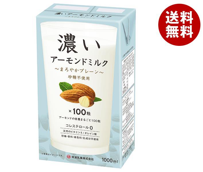 筑波乳業 濃いアーモンドミルク まろやかプレーン 1L紙パック×12本入×(2ケース)｜ 送料無料 アーモンドミルク 紙パック プレーン