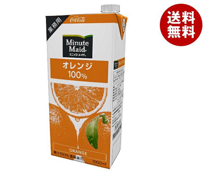 コカコーラ ミニッツメイド オレンジ100% 1L紙パック×6本入×(2ケース)｜ 送料無料 紙パック 果汁100% オレンジジュースのサムネイル