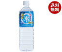 岩泉産業開発 龍泉洞の水 1Lペットボトル×12本入×(2ケース)| 送料無料 水 ミネラルウォーター PET 1000ml 1l 軟水(4)