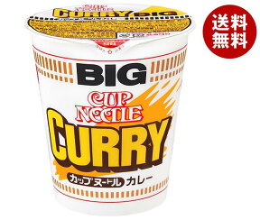 日清食品 カップヌードル カレービッグ 120g×12個入｜ 送料無料 インスタント食品 ラーメン 即席めん カップ麺 BIG