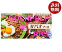ハウス食品 ごちレピ ライス ガパオソース 140g×10個入×(2ケース)| 送料無料 調味料 ルウ ガパオライス 中辛
