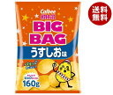 カルビー BIG BAG ポテトチップス うすしお味 160g×12袋入| 送料無料 お菓子 スナック菓子 Calbee 塩 ポテチ