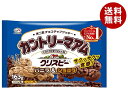 不二家 カントリーマアム クリスピー バニラ&ショコラ 163g×16袋入×(2ケース)| 送料無料 お菓子 クッキー 袋 バニラ ショコラ