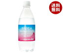 友桝飲料 シリカ&バナジウム 強炭酸水 500mlペットボトル×24本入｜ 送料無料 炭酸飲料 炭酸水 ソーダ PET 割り材