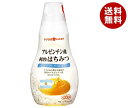 加藤美蜂園 サクラ印 アルゼンチン産純粋はちみつ 145g×12本入×(2ケース)| 送料無料 嗜好品 シロップ ハチミツ 蜂蜜