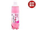 博水社 ハイサワー スンチー 杏仁檸檬 1000mlペットボトル×15本入×(2ケース)| 送料無料 炭酸 サワー レモン 割り材 杏仁