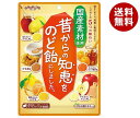 扇雀飴本舗 昔からの知恵をのど飴にしました。 92g×10袋入 メーカー 問屋直送| 送料無料 菓子 飴 ハチミツ 生姜 フルーツ のど飴 アソート
