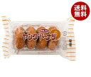 宮田製菓 ヤングドーナツ 4個×20袋入×(2ケース)| 送料無料 お菓子 ドーナツ おやつ おかし