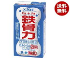 九州乳業 鉄骨力 125ml紙パック×36本入×(2ケース)｜ 送料無料 豆乳・乳性飲料 乳性 乳飲料 カルシウム 鉄