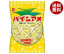 パイン パインアメ 110g×6袋入×(2ケース)| 送料無料 お菓子 おやつ パイン 飴 あめ