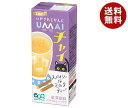 エルビー UMAI チャイ 200ml紙パック×24本入×(2ケース)｜ 送料無料 チャイ 紅茶 紙パック