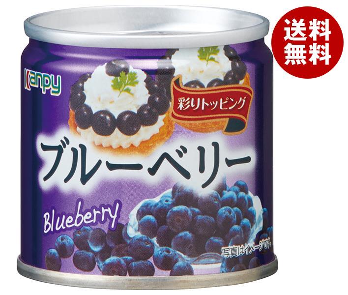 カンピー ブルーべリー 85g缶×24個入×(2ケース)｜ 送料無料 缶詰 かんづめ 果実 フルーツ ブルーベリー