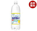 サンガリア 伊賀の天然水 強炭酸水 グレープフルーツ 1Lペットボトル 12本入 2ケース ｜ 送料無料 炭酸飲料 炭酸水 ソーダ PET