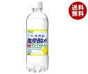 サンガリア 伊賀の天然水 強炭酸水 グレープフルーツ 500mlペットボトル 24本入｜ 送料無料 炭酸飲料 スパークリング 天然水