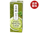 明治 辻利 抹茶ラテ 200ml紙パック×24本入×(2ケース) メーカー 問屋直送| 送料無料 乳飲料 抹茶 ミルク