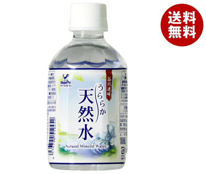 富永貿易 神戸居留地 うららか天然水 280mlペットボトル×24本入×(2ケース)｜ 送料無料 ミネラルウォーター 天然水 霊峰谷川岳 鉱水