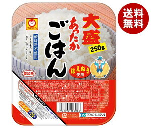 東洋水産 あったかごはん 大盛 250g×20(10×2)個入×(2ケース)｜ 送料無料 パックごはん レトルトご飯 ごはん