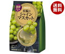 三井農林 日東紅茶 至福のシャインマスカット (9.5g×8本)×24(6×4)個入| 送料無料 インスタント 粉末 果汁 マスカット グレープ