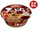 明星食品 明星庵 天ぷらそば 大盛 112g×12個入| 送料無料 インスタント食品 即席麺 カップめん 蕎麦 大盛り