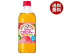 サントリー クラフトボス ビタミンティー 600mlペットボトル×24本入×(2ケース)｜ 送料無料 紅茶 フルーツ 果物 フルーツミックス