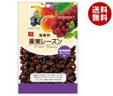 共立食品 製菓用 果実レーズン 140g×6袋入×(2ケース)｜ 送料無料 お菓子 ドライフルーツ 干しぶどう 乾燥果物 葡萄