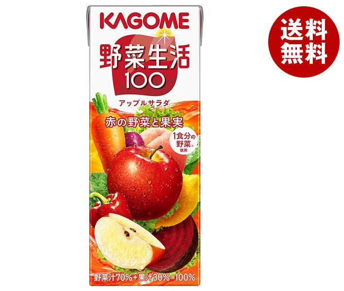 カゴメ 野菜生活100 アップルサラダ 200ml紙パック×24本入｜ 送料無料 野菜ジュース カゴメ 野菜生活 野菜 リンゴ りんごのサムネイル