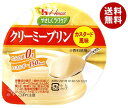 ハウス食品 やさしくラクケア クリーミープリン カスタード風味 63g×48個入| 送料無料 プリン カスタード デザート たんぱく調整食