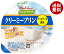 ハウス食品 やさしくラクケア クリーミープリン チーズケーキ風味 63g×48個入×(2ケース)| 送料無料 ラクケア プリン チーズケーキ おやつ デザート