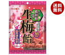 リボン 生梅飴 90g×12袋入×(2ケース)| 送料無料 お菓子 あめ キャンディー 飴 袋
