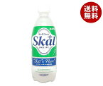南日本酪農協同 スコールホワイト 500mlぺットボトル×24本入×(2ケース)｜ 送料無料 炭酸飲料 PET スコール