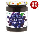 カンピー Fuits×Fruits ブルーベリー 260g瓶×12個入×(2ケース)| 送料無料 一般食品 スプレッド ジャム 瓶 ブルーベリー