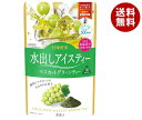 三井農林 日東紅茶 水出しアイスティー マスカットグリーンティー ティーバッグ (3g×10袋)×24袋入| 送料無料 インスタント 緑茶 水出し