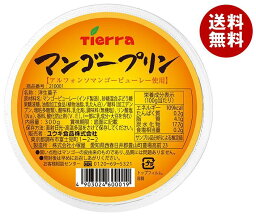 ユウキ食品 マンゴープリン 300g×24個入×(2ケース)｜ 送料無料 プリン デザート マンゴー フルーツ