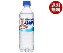 アサヒ飲料 三ツ矢サイダー ZERO(ゼロ) 500mlペットボトル×24本入×(2ケース)｜ 送料無料 ノンカロリー炭酸 カロリーゼロ STRONG