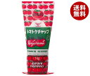 ハグルマ JAS標準 トマトケチャップ 1kgチューブ×12本入| 送料無料 ケチャップ ソース 大容量