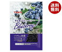 東洋ナッツ トン 野生種ブルーベリー 30g×10袋入| 送料無料 お菓子 袋