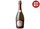 ヴィンテンス スパークリング プレステージ ロゼ 750ml瓶×6本入×(2ケース)| 送料無料 炭酸 炭酸飲料 瓶 ドリンク
