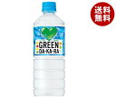 サントリー GREEN DAKARA(グリーン ダカラ) 600mlペットボトル×24本入×(2ケース)｜ 送料無料 dakara スポーツドリンク 熱中症対策