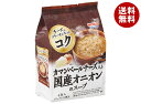 宝幸 カマンベールチーズ入り 国産オニオンのスープ 4食入り 32g×10袋入| 送料無料 スープ インスタント フリーズドライ